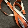 Leash