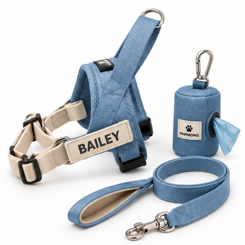 Harness and Leash Kit