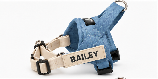 Harness