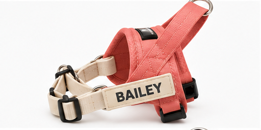 Harness