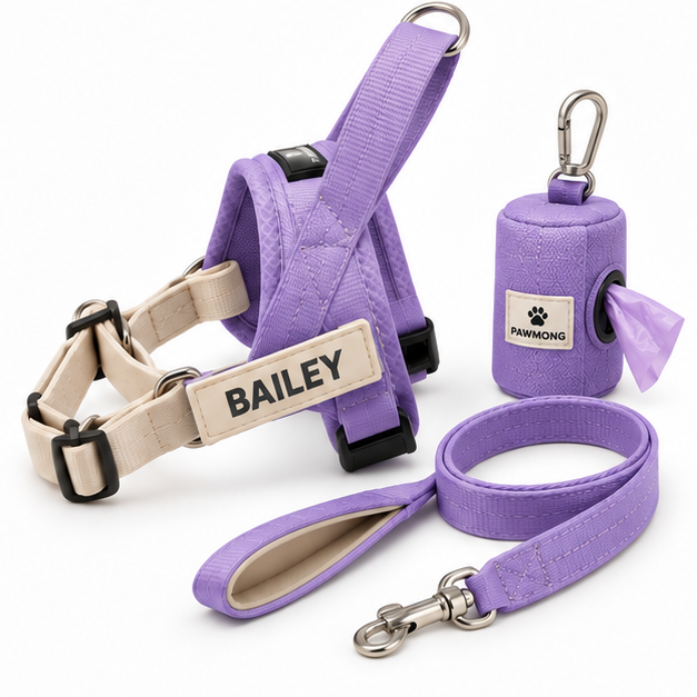 Harness and Leash Kit