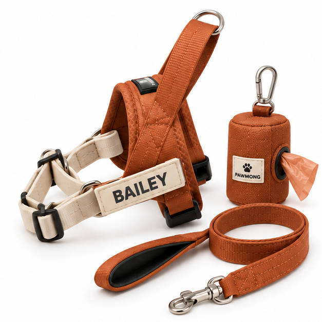 Harness and Leash Kit