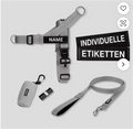 Harness and Leash Kit