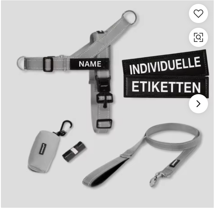 Harness and Leash Kit